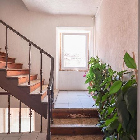 Cozy Studio Cvita Zadar Exterior photo